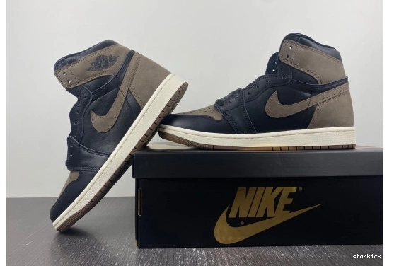 Jordan DZ5485-020 Retro  High Palomino 1  DZ5485-020 OG  0225